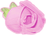 Click Here